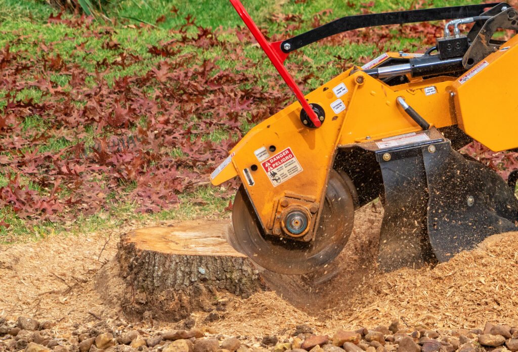 a stump grinder removing a tree stump