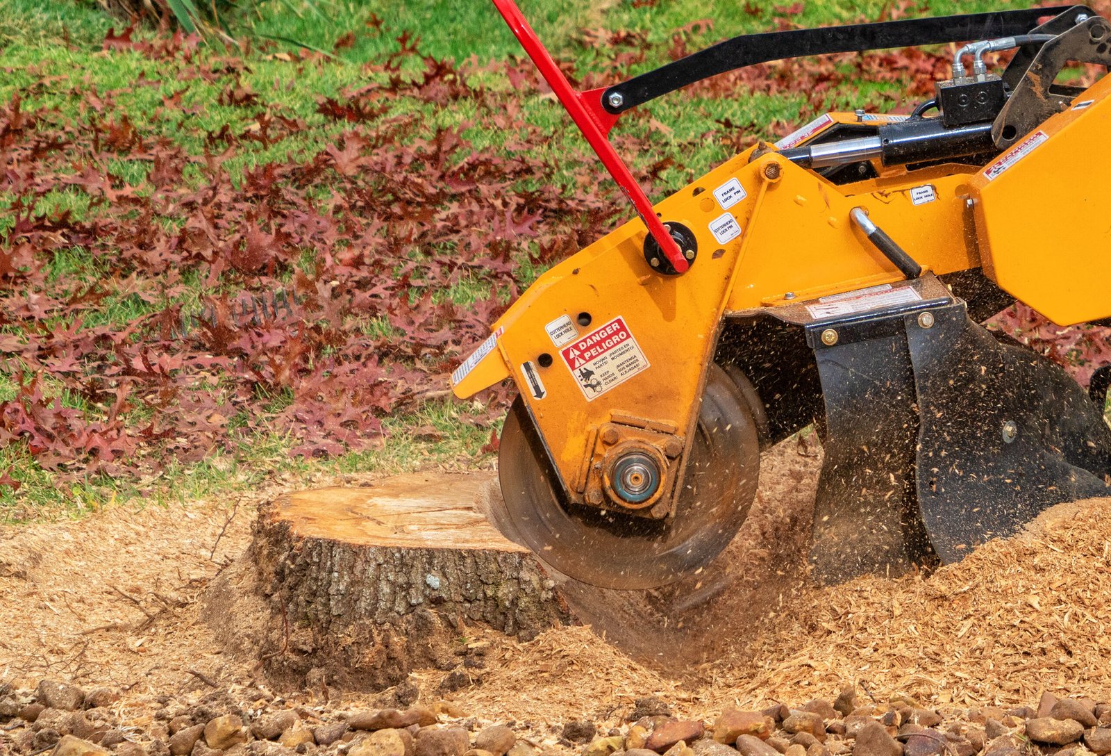 a stump grinder removing a tree stump